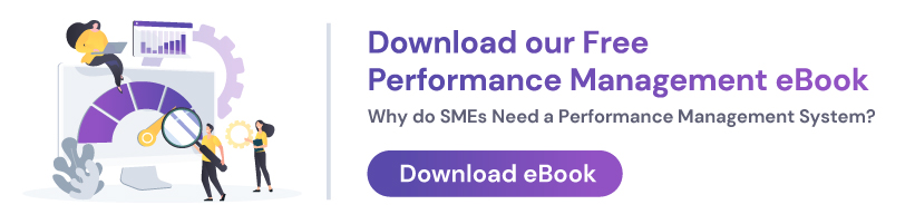 Why do SMEs need a Performance Management System