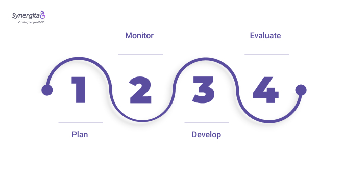 Core Processes: Plan, Monitor, Develop, Evaluate