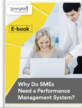 Why Do SMEs Need a Performance Management System?